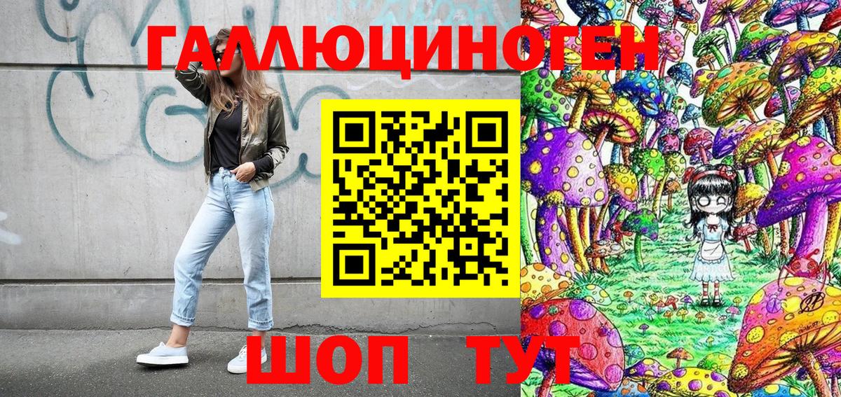 Галлюциногенные грибы Psilocybine cubensis  Вход с VPN  Каменск-Шахтинский 